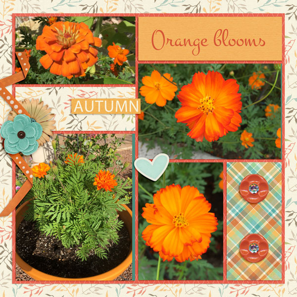 Orange blooms - Sept color challenge