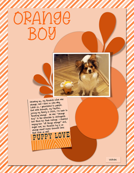 Orange Boy