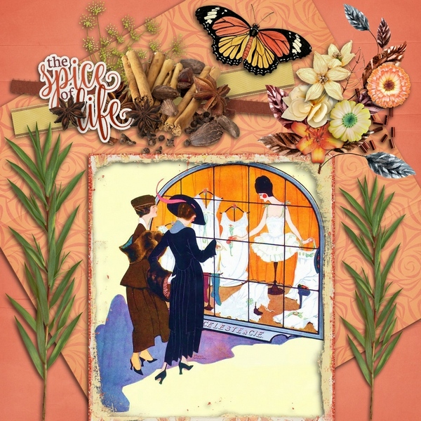 Orange Spice Collection