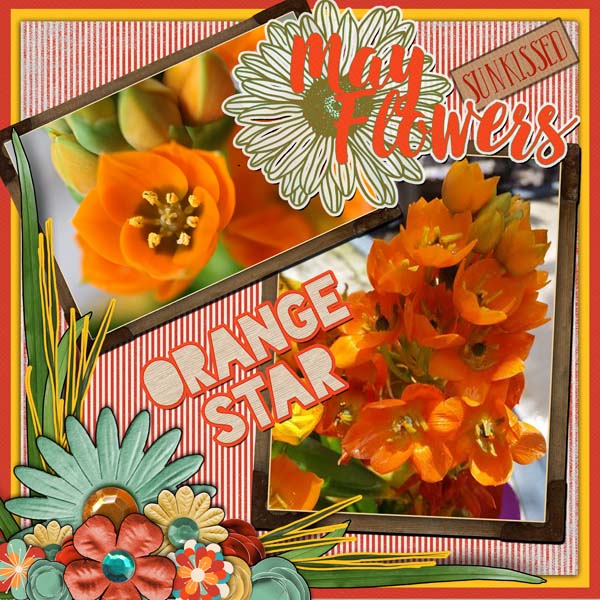 Orange Star