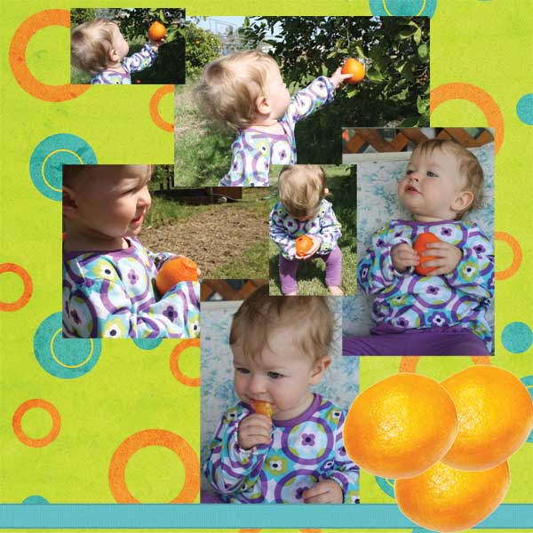 Orange Tree