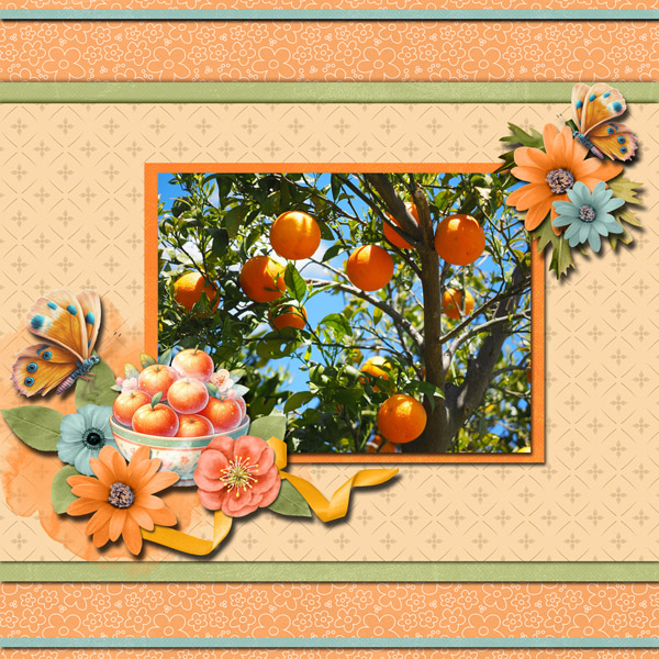 Oranges