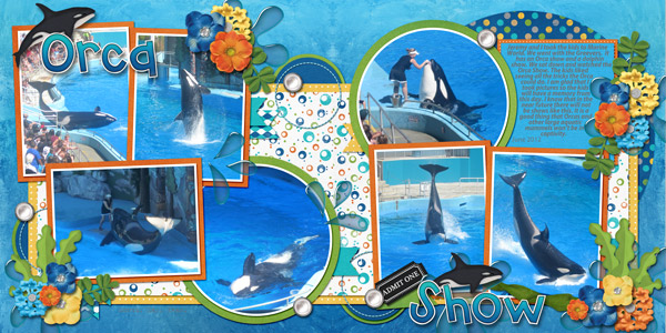 Orca Show