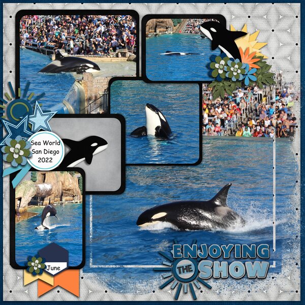 Orcas