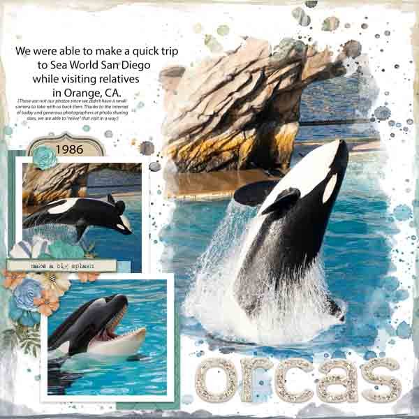Orcas