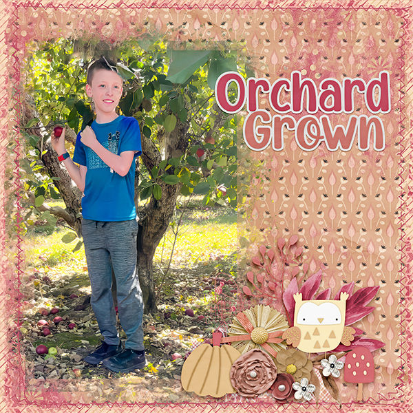 Orchad Grown