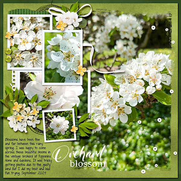 Orchard Blossoms at Ripponlea