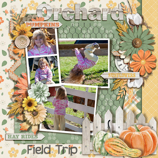 Orchard Field Trip