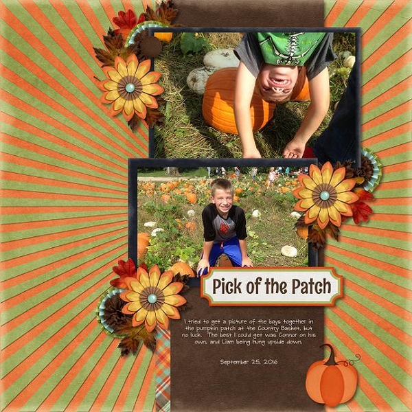 Orchard Fun