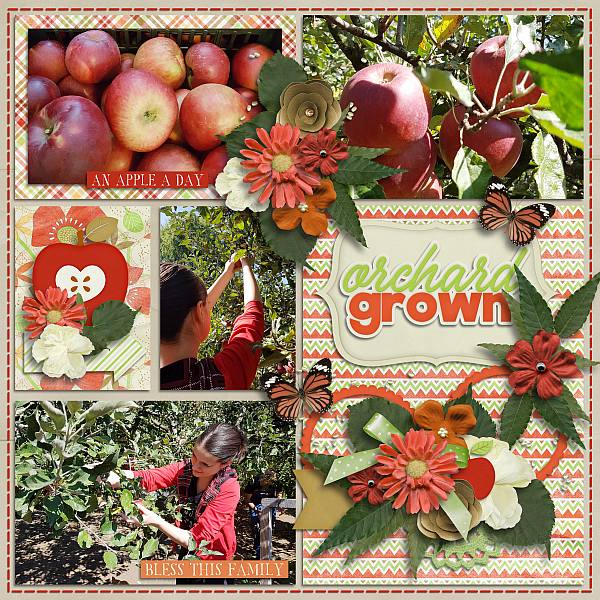 Orchard grown