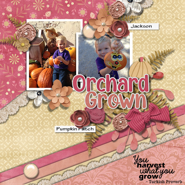 Orchard Grown