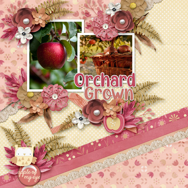 Orchard Grown