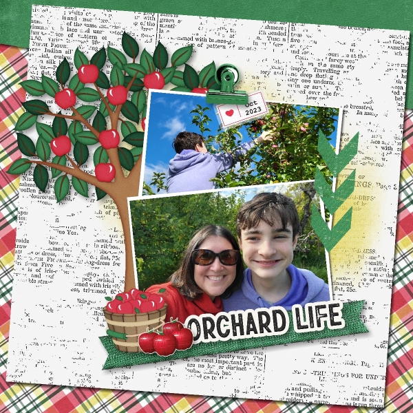 Orchard Life - October 2023