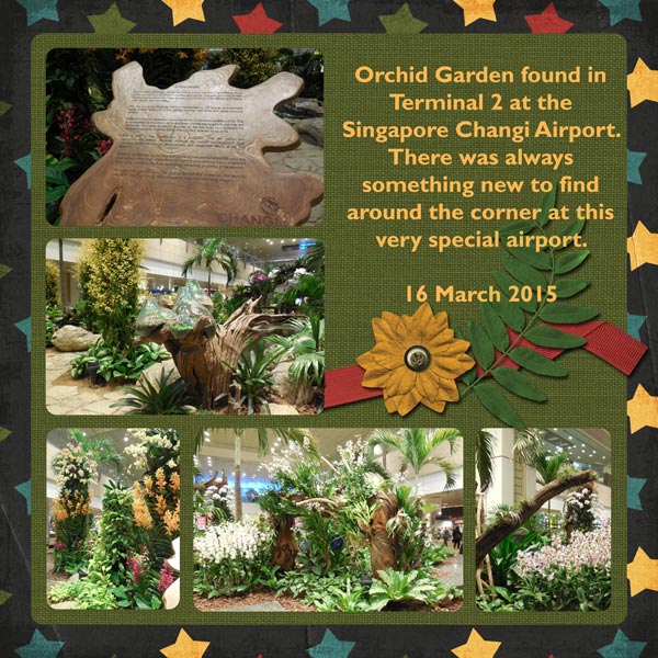 Orchid Garden
