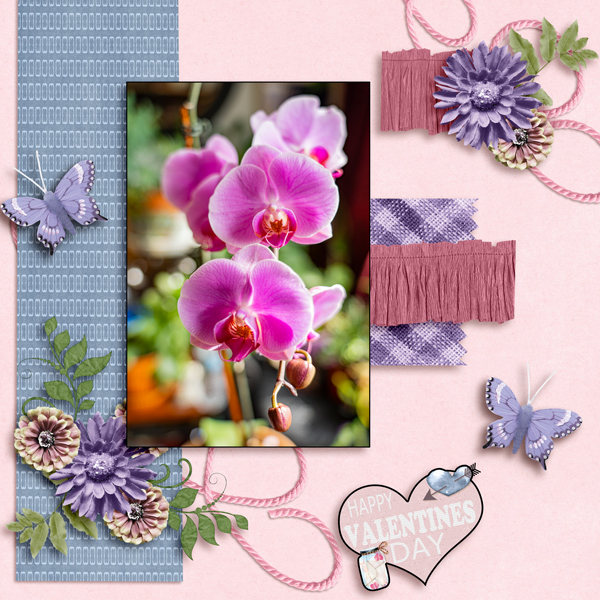 Orchid in Template Challenge #1 2022