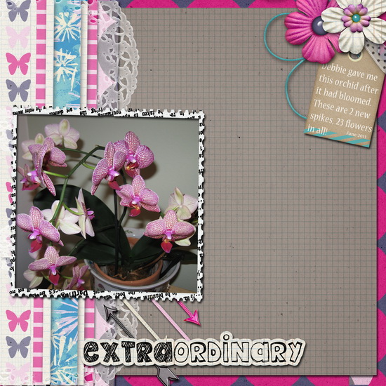 Orchids