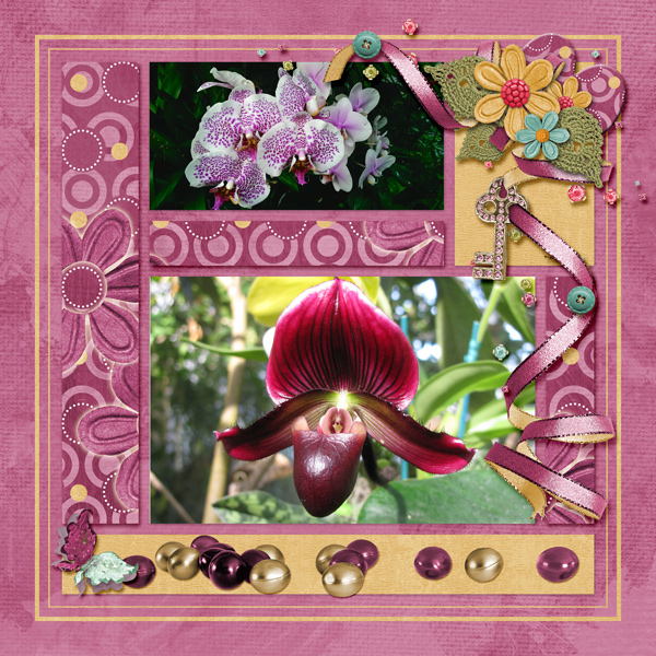 Orchids