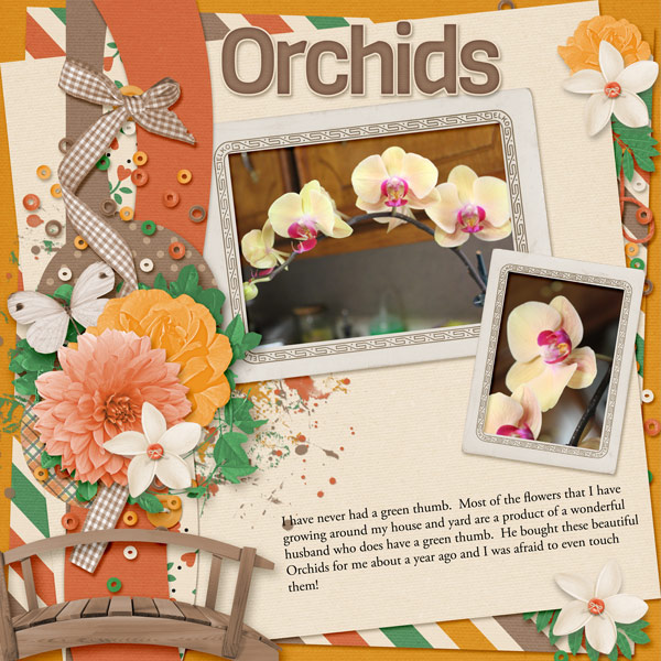 Orchids