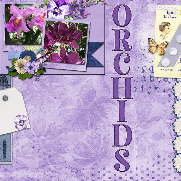 Orchids