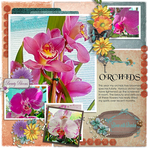 Orchids