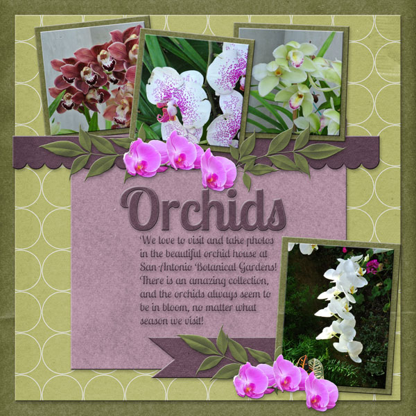 Orchids