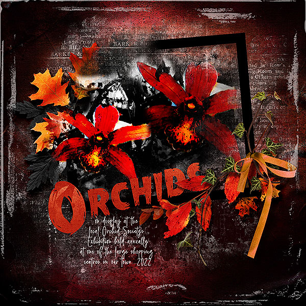 Orchids