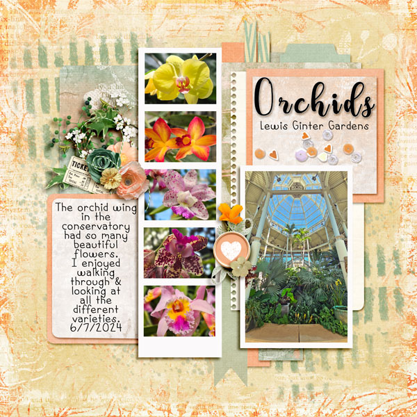 Orchids