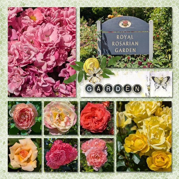 Oregon_Rosarian Garden-COPY.jpg