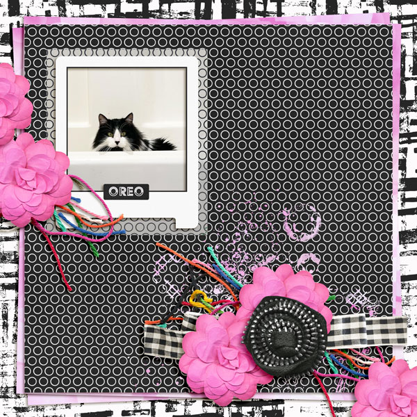 Oreo