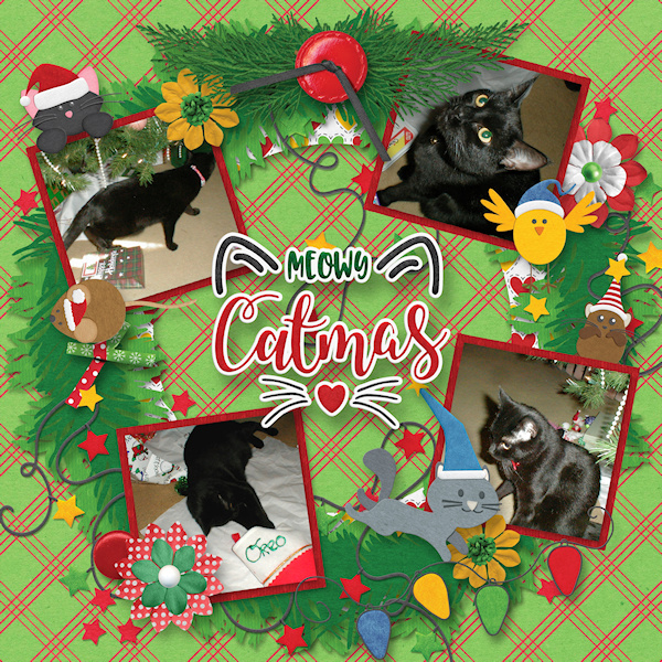 Oreo's First Christmas