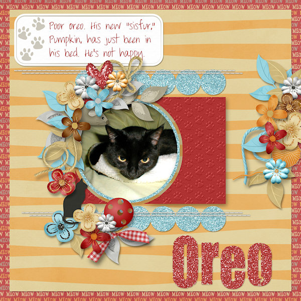 Oreo's Unhappy...