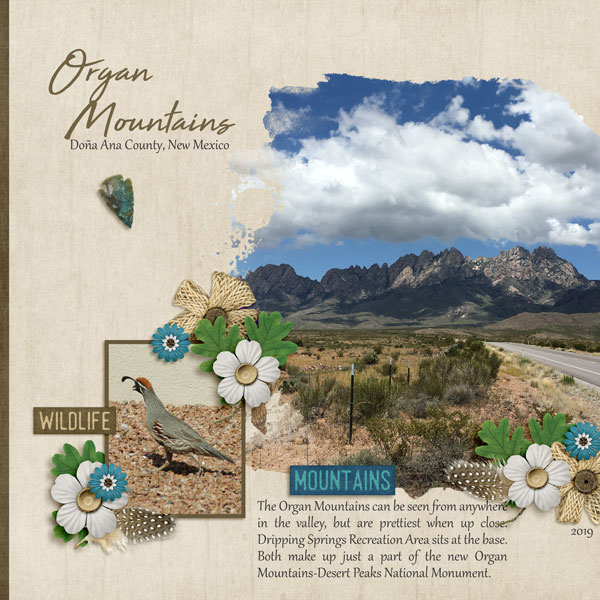 Organ Mountains
