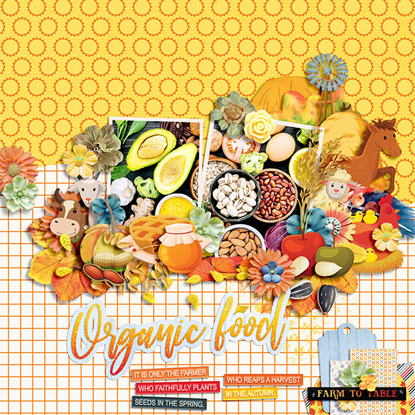 Organic food