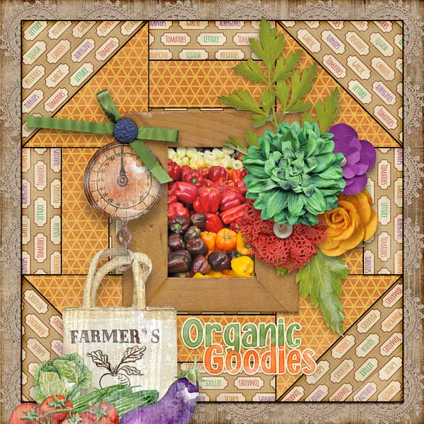 Organic Goodies
