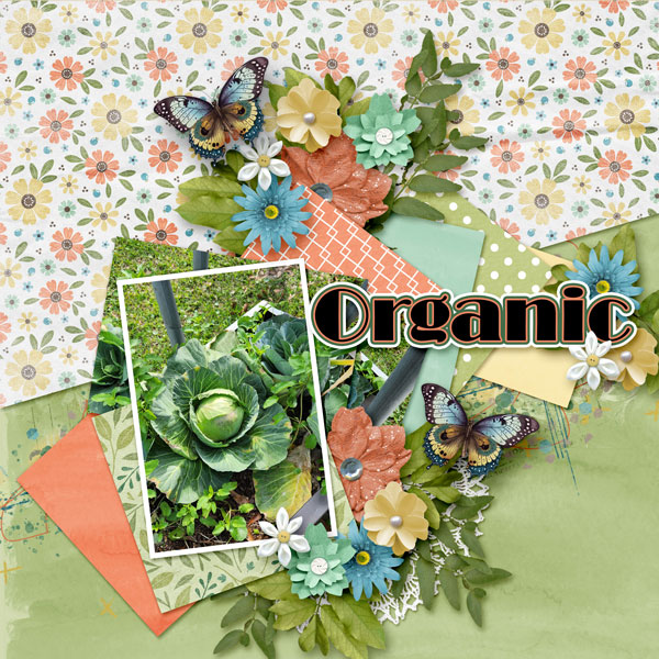 Organic