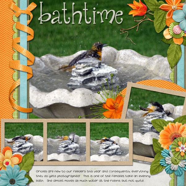 Oriole Bathtime