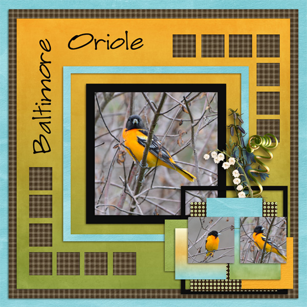Oriole