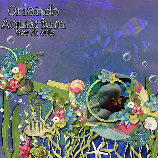 orlando-aquarium