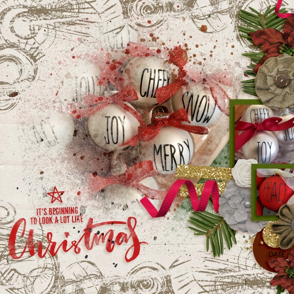 Ornaments from 2020