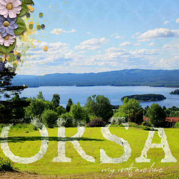 Orsa My Root Are Here