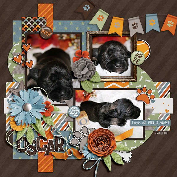 Oscar