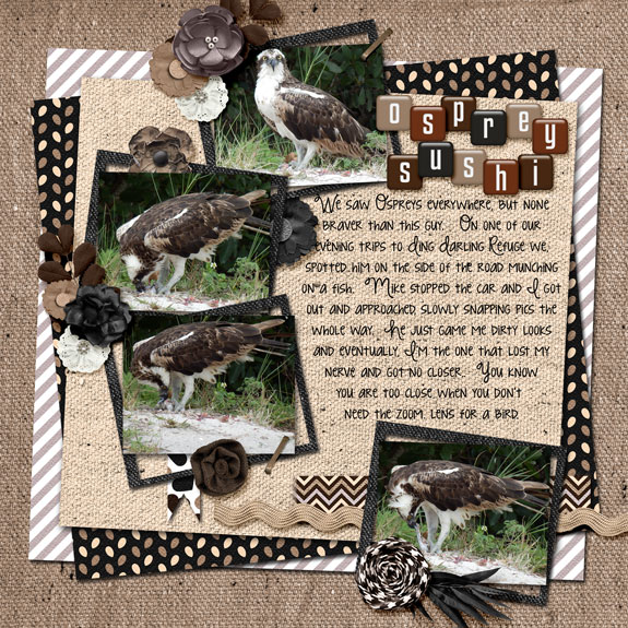 Osprey Sushi