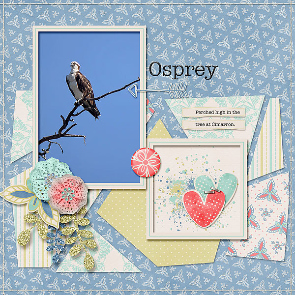 Osprey
