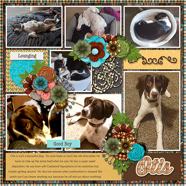 Otis again