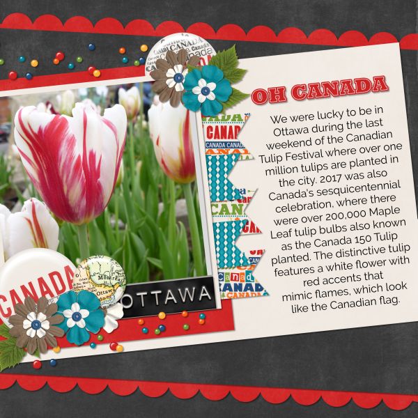 Ottawa Tulip Festival