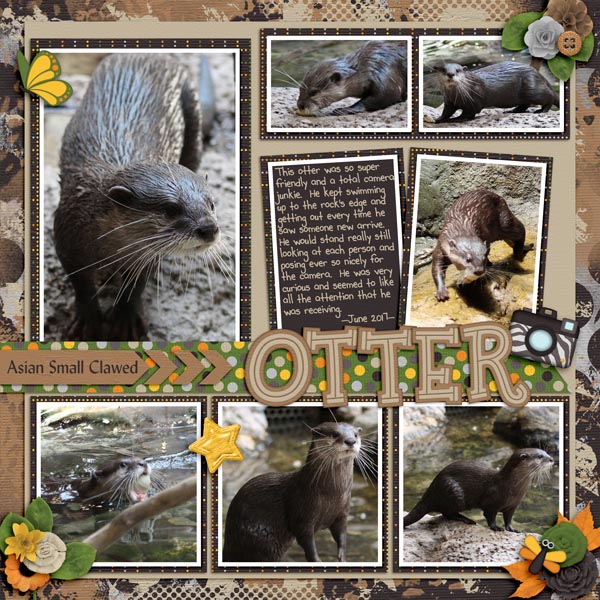 Otter