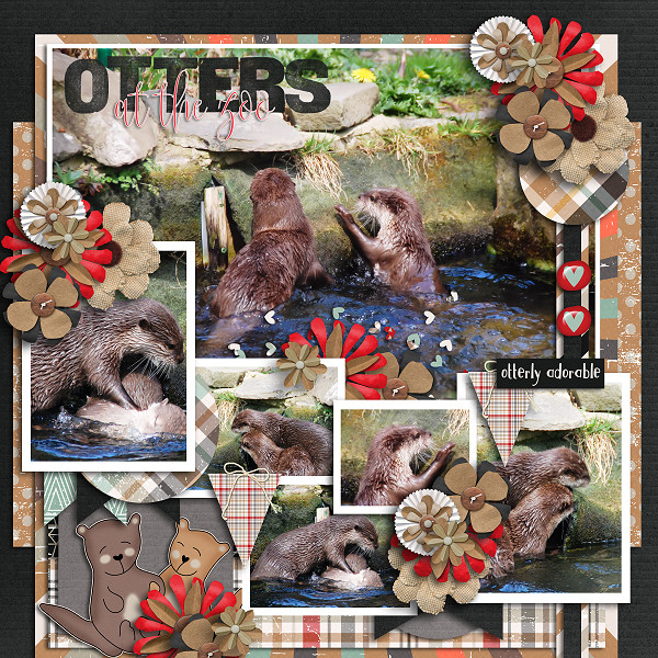 Otters at the Zoo