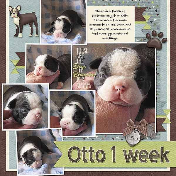 Otto 1 Week