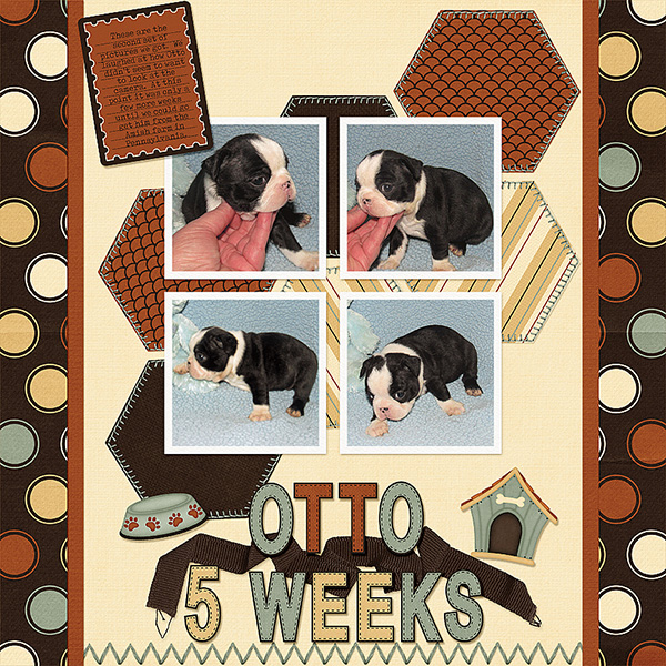 Otto 5 Weeks