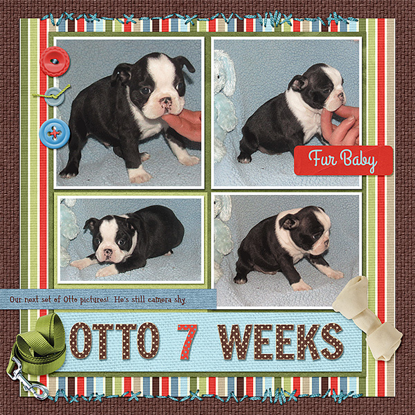 Otto 7 Weeks